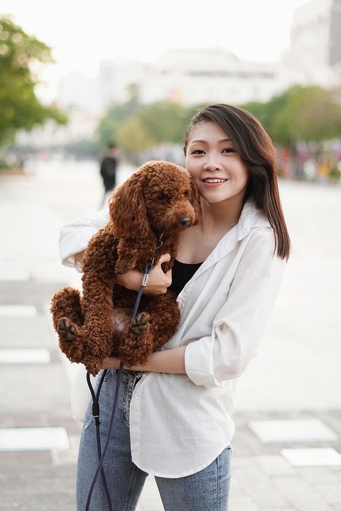 יחסי מין טובים יותר עם ד”ר ליקס: כל מה שרצית לדעת על פוליאמוריה וסגנונות זוגיות פוליאמפיים